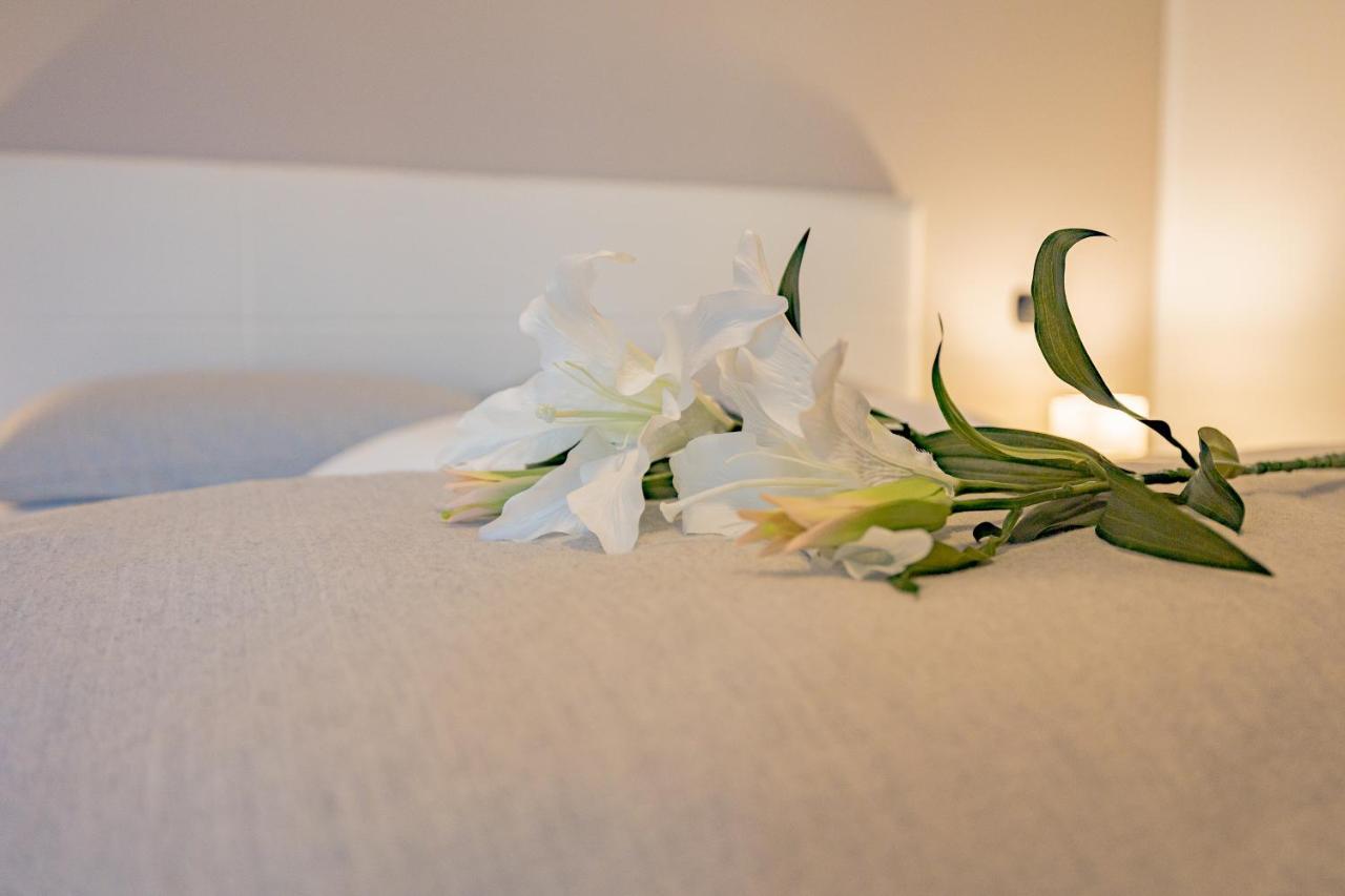 אסאגו Milan Forum Camelia Guesthouse מראה חיצוני תמונה